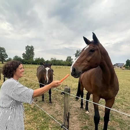 Vila Bed & Bets! Geetbets Exteriér fotografie